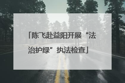 陈飞赴益阳开展“法治护绿”执法检查