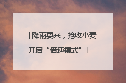 降雨要来，抢收小麦开启“倍速模式”