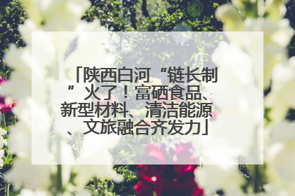 陕西白河“链长制”火了！富硒食品、新型材料、清洁能源、文旅融合齐发力