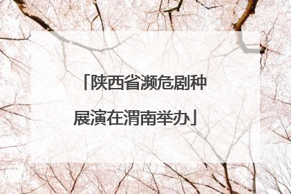 陕西省濒危剧种展演在渭南举办