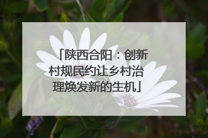 陕西合阳：创新村规民约让乡村治理焕发新的生机
