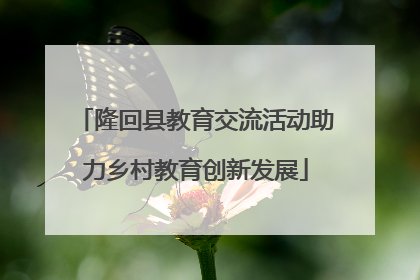 隆回县教育交流活动助力乡村教育创新发展