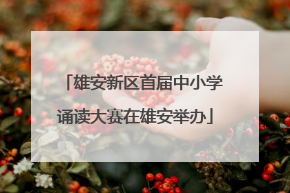 雄安新区首届中小学诵读大赛在雄安举办