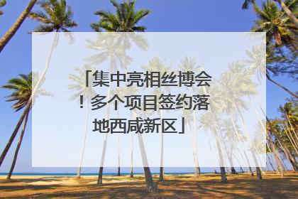 集中亮相丝博会！多个项目签约落地西咸新区