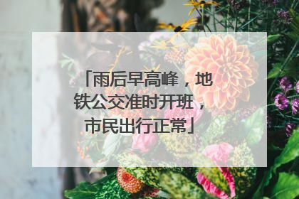 雨后早高峰，地铁公交准时开班，市民出行正常