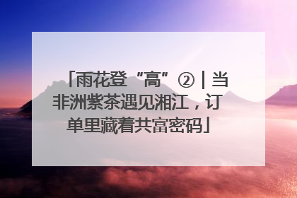雨花登“高”②｜当非洲紫茶遇见湘江，订单里藏着共富密码