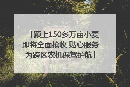 颍上150多万亩小麦即将全面抢收 贴心服务为跨区农机保驾护航