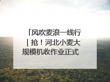 风吹麦浪一线行｜抢！河北小麦大规模机收作业正式拉开帷幕