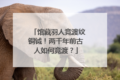 馆藏羽人竞渡纹铜钺！两千年前古人如何竞渡？