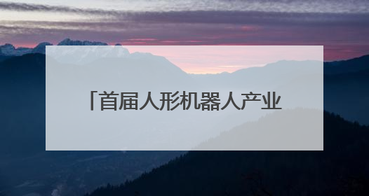 首届人形机器人产业链接会在杭州举办
