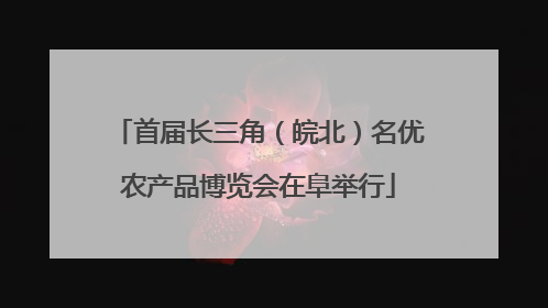 首届长三角（皖北）名优农产品博览会在阜举行