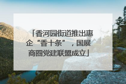 香河园街道推出惠企“香十条”，国展商圈党建联盟成立