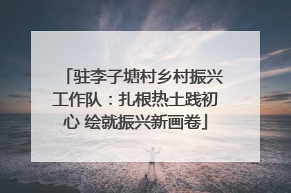 驻李子塘村乡村振兴工作队：扎根热土践初心 绘就振兴新画卷