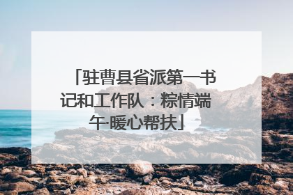 驻曹县省派第一书记和工作队：粽情端午·暖心帮扶