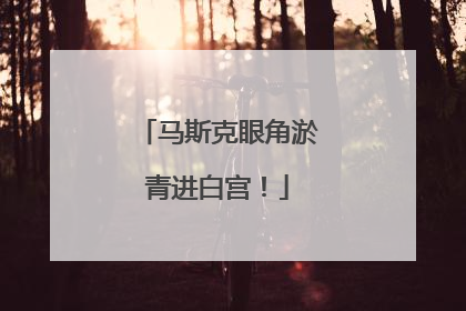 马斯克眼角淤青进白宫！
