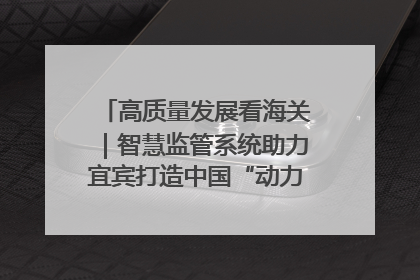 高质量发展看海关｜智慧监管系统助力宜宾打造中国“动力电池之都”