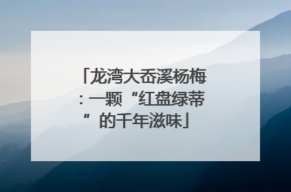 龙湾大岙溪杨梅：一颗“红盘绿蒂”的千年滋味