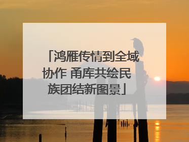 鸿雁传情到全域协作 甬库共绘民族团结新图景