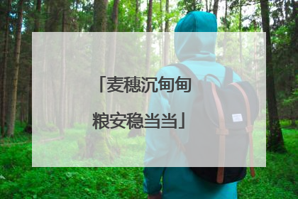 麦穗沉甸甸 粮安稳当当