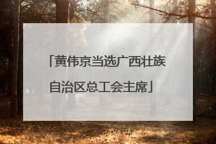 黄伟京当选广西壮族自治区总工会主席