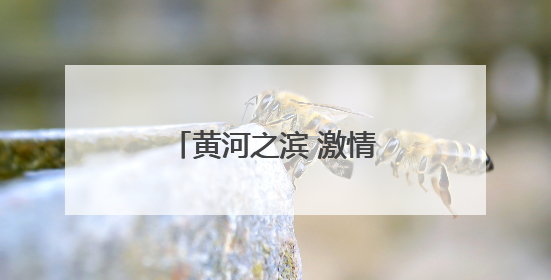 黄河之滨 激情奔跑——2025兰州马拉松侧记