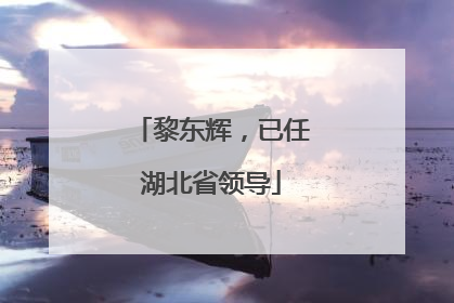 黎东辉，已任湖北省领导