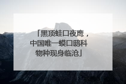 黑顶蛙口夜鹰，中国唯一蟆口鸱科物种现身临沧