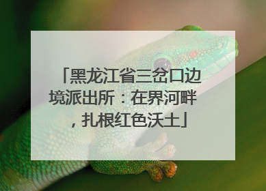 黑龙江省三岔口边境派出所：在界河畔，扎根红色沃土