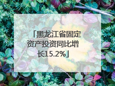 黑龙江省固定资产投资同比增长15.2%