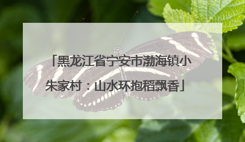 黑龙江省宁安市渤海镇小朱家村：山水环抱稻飘香