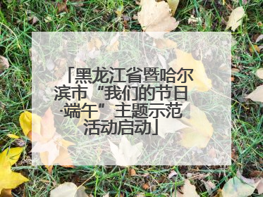 黑龙江省暨哈尔滨市“我们的节日·端午”主题示范活动启动