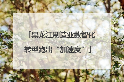 黑龙江制造业数智化转型跑出“加速度”