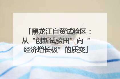 黑龙江自贸试验区：从“创新试验田”向“经济增长极”的质变