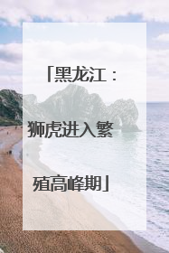 黑龙江：狮虎进入繁殖高峰期