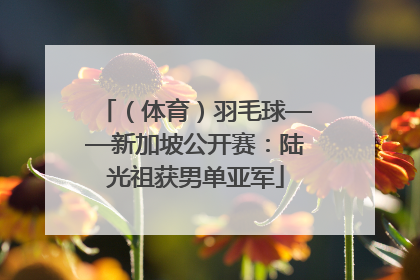 （体育）羽毛球——新加坡公开赛：陆光祖获男单亚军