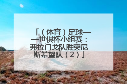 （体育）足球——世俱杯小组赛：弗拉门戈队胜突尼斯希望队（2）
