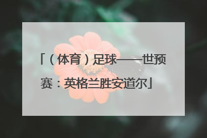 （体育）足球——世预赛：英格兰胜安道尔