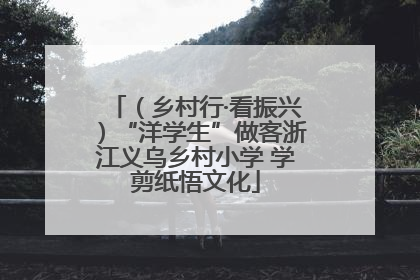（乡村行·看振兴）“洋学生”做客浙江义乌乡村小学 学剪纸悟文化