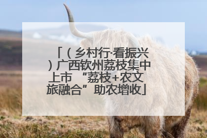 （乡村行·看振兴）广西钦州荔枝集中上市 “荔枝+农文旅融合”助农增收