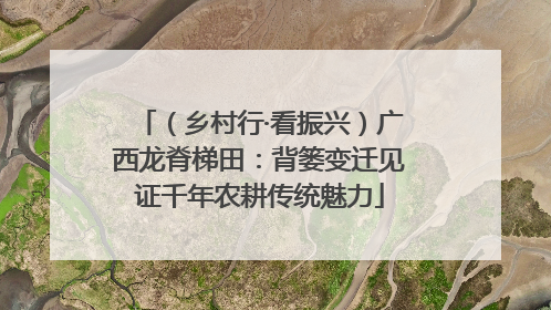 （乡村行·看振兴）广西龙脊梯田：背篓变迁见证千年农耕传统魅力