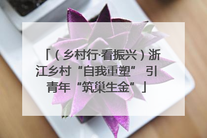 （乡村行·看振兴）浙江乡村“自我重塑” 引青年“筑巢生金”