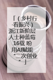 （乡村行·看振兴）浙江新阶层人士种蓝莓16载 盼用AI赋能“二次创业”