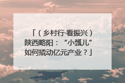 （乡村行·看振兴）陕西略阳：“小瓢儿”如何撬动亿元产业？