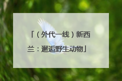 （外代一线）新西兰：邂逅野生动物