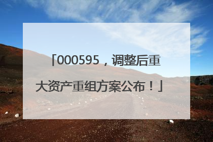 000595，调整后重大资产重组方案公布！
