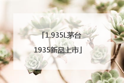 1.935L茅台1935新品上市