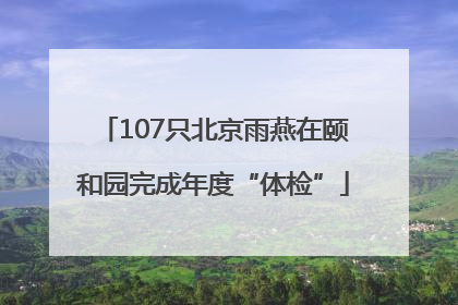 107只北京雨燕在颐和园完成年度“体检”