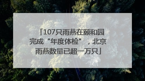 107只雨燕在颐和园完成“年度体检”，北京雨燕数量已超一万只