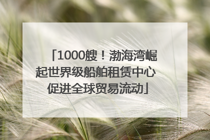 1000艘！渤海湾崛起世界级船舶租赁中心 促进全球贸易流动