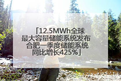12.5MWh全球最大容量储能系统发布 合肥一季度储能系统同比增长425%